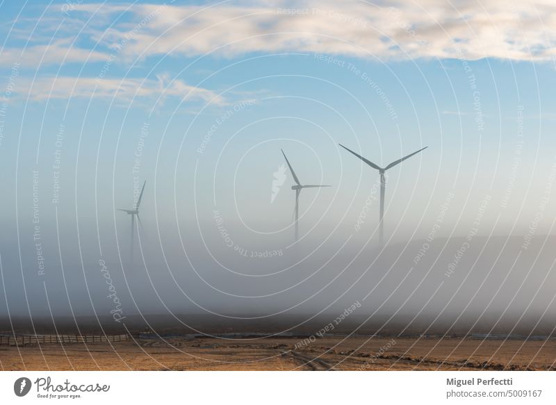 Windturbinen, die aus dem Morgennebel herausragen, Nebel, der den Boden und den Himmel erkennen lässt, aber den Sockel des Windrads verwischt. Windkraftanlage