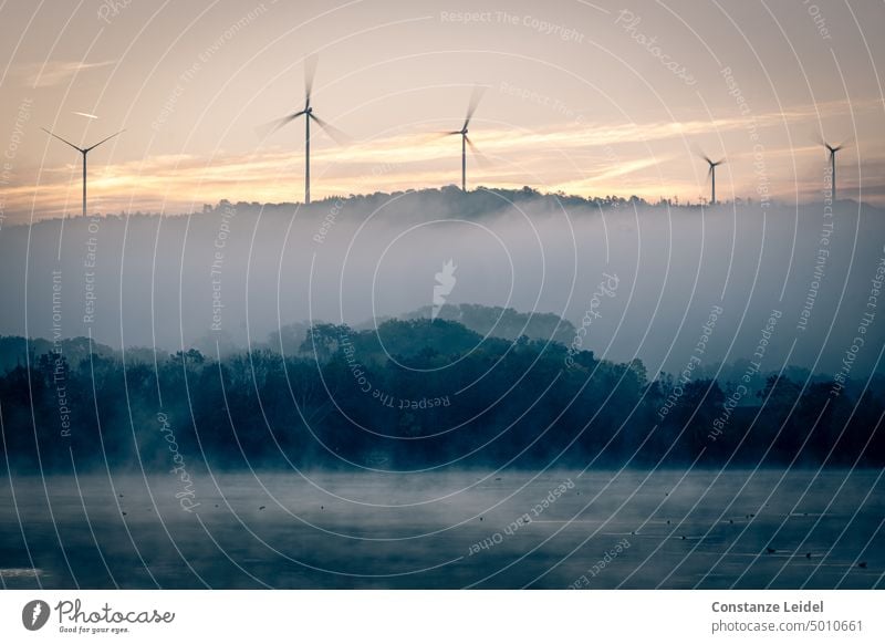 Fünf Windräder über nebligem See bei Sonnenaufgang. Windrad Windkraft Elektrizität Windkraftanlage Windenergie Erneuerbare Energie Energiewirtschaft