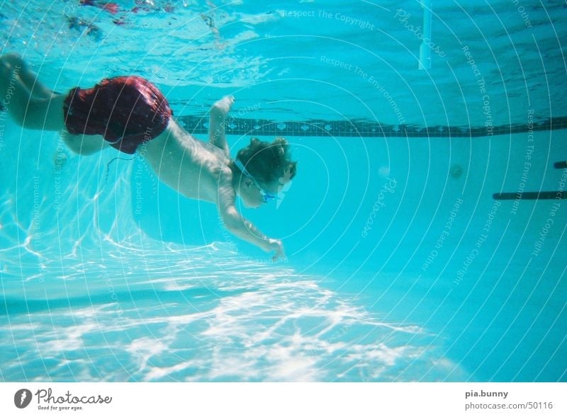 David underwater tauchen Florida Schwimmbad Sommer Junge Schwimmen & Baden Wasser