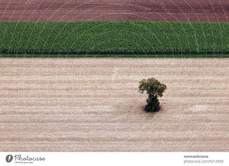 Felder aus der Vogelperspektive felder acker landschaft kulturlandschaft überflug abgrenzung vogelperspektive abstrakt pfalz südpfalz landwirtschaft