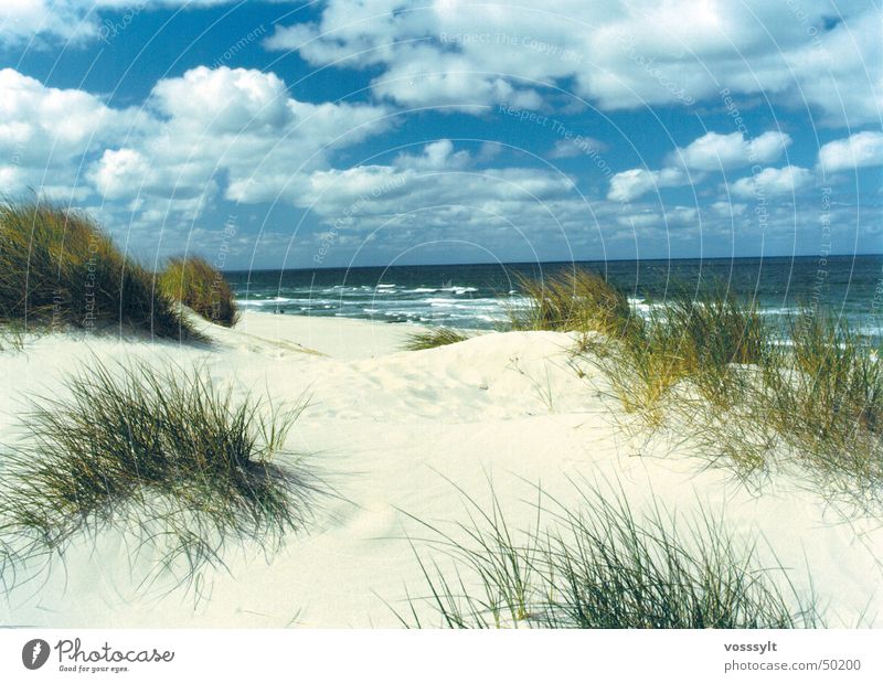 Lister Dünen Strand Himmel Stranddüne schönster platz auf sylt Scan