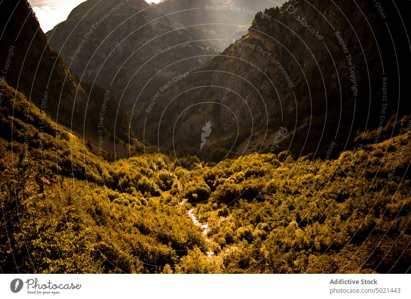 Malerische Landschaft mit bewaldeten Bergen im Sommer Berge u. Gebirge Wald Fluss Natur grün Hochland Umwelt