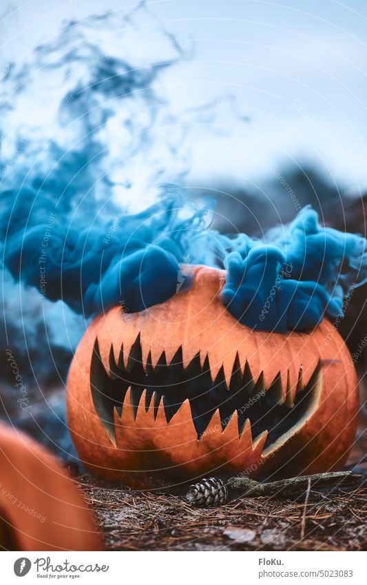 qualmender Halloween Kürbis unheimlich scary spooky spukhaft gruselig Angst Herbst Nacht orange dunkel Dekoration & Verzierung geheimnisvoll