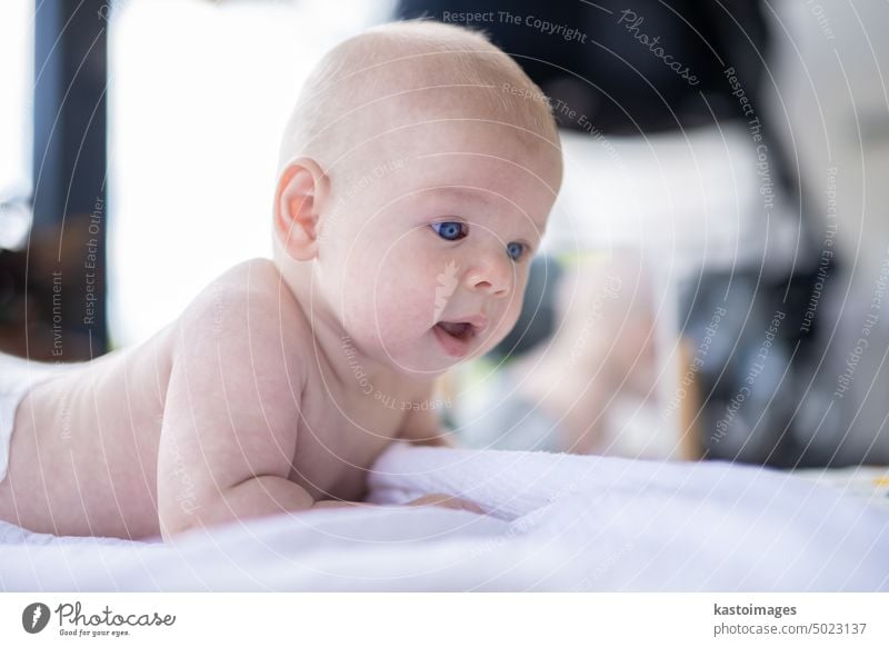 Porträt eines kleinen Babyjungen mit Bauchansatz. bunt Kleinkind niedlich bezaubernd Glück Junge Kind Säugling Kindheit wenig schön Gesicht Kaukasier weiß