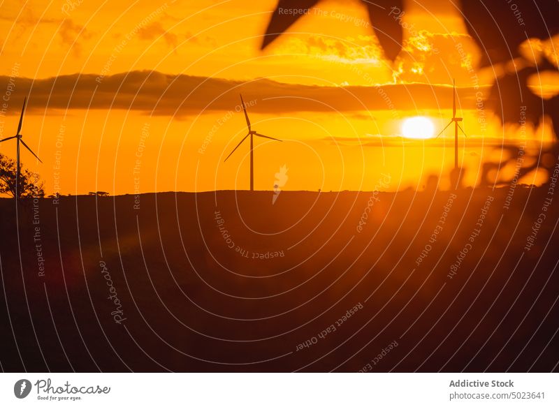 Windparklandschaft bei Sonnenuntergang unter Wolken Windmühlen Turbine Elektrizität Erzeuger Technik & Technologie Natur Himmel Industrie Umwelt Windkraftanlage