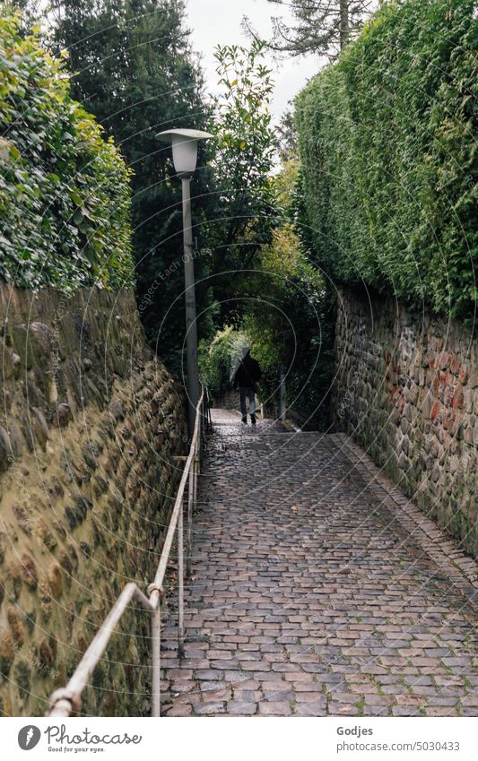 Person läuft einen gepflasterten und bewachsenen Weg im Treppenviertel Blankenese, Hamburg, entlang Gang Wege & Pfade Außenaufnahme Natur Ausflug Pflastersteine
