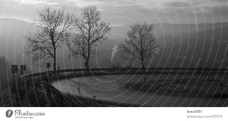 Vorsicht! Kurve! Baum Eifel Nebel Gegenlicht abwärts aufwärts Herbst Schilder & Markierungen Straße leitblanke Berge u. Gebirge Schwarzweißfoto