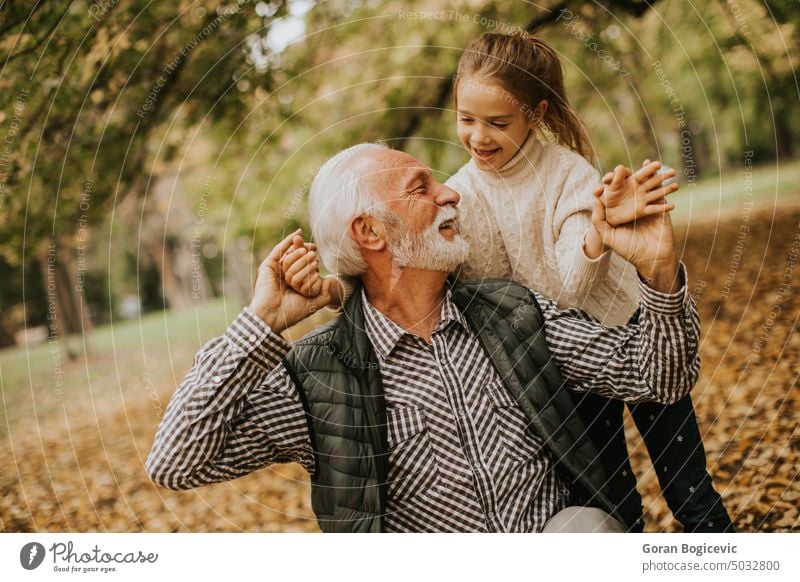 Großvater verbringt Zeit mit seiner Enkelin im Park an einem Herbsttag Zusammengehörigkeitsgefühl Natur Menschen Spaß Kind klein Zwei Personen Glück Saison Mann