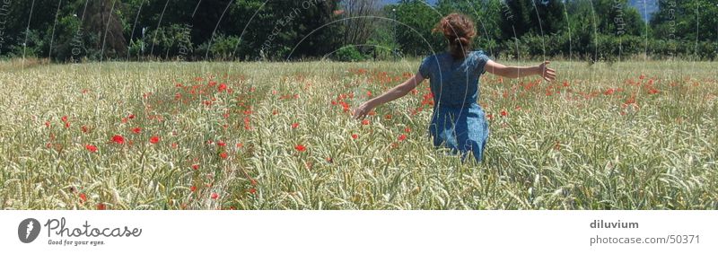 freiheit und freude Feld Mädchen Kleid Luft blau rennen Sommer groß Panorama (Bildformat)