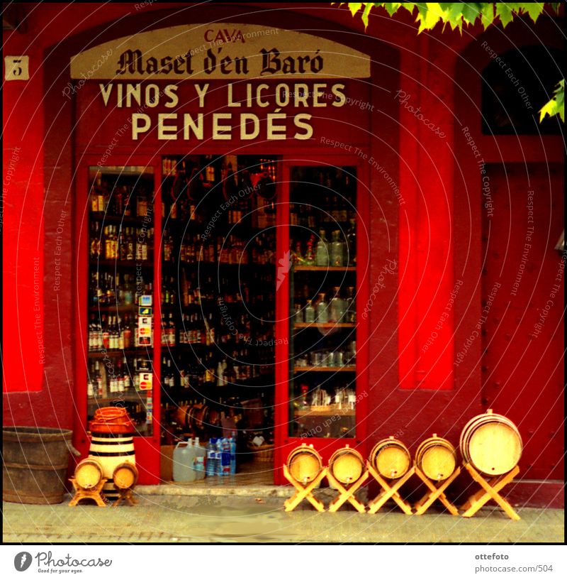 Vinos y Licores, Vilafranca del Penedés, Catalunya Katalonien Ladengeschäft Wein Weinfass Eingang Schaufenster altehrwürdig Flasche rot