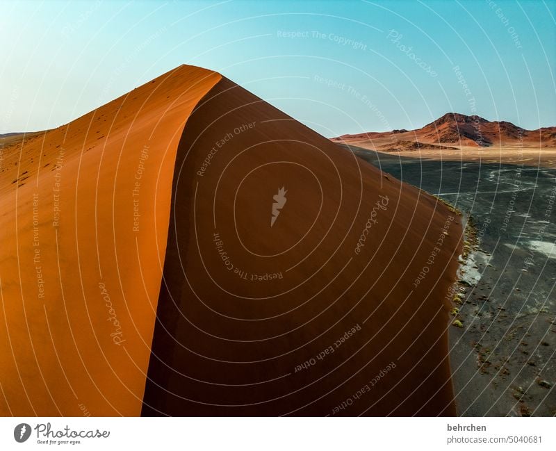 linienführung Schatten Licht Sossusvlei Außenaufnahme Vogelperspektive von oben Drohne Sesriem dune 45 Sand Wüste Afrika Namibia Ferne Fernweh Sehnsucht reisen