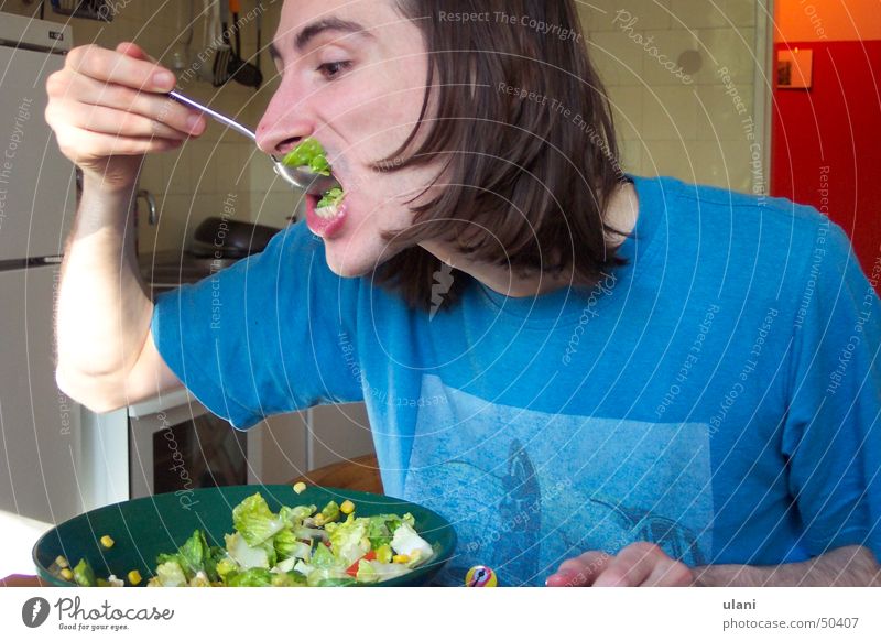 die Salatgier Mann Gier Küche brünett Sommer verrückt Ernährung Appetit & Hunger vegetarisch.