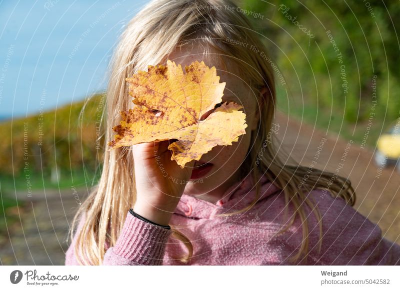 Mädchen mit gelbem Herbstblatt vor dem Gesicht Blatt Natur Weinberge Kind Reben