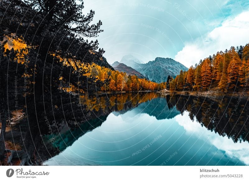 Der Palpuognasee in Graubünden Herbst Bergsee Landschaft Herbstlich landscape Natur Berge u. Gebirge Ferien & Urlaub & Reisen Alpen Umwelt Tourismus Erholung