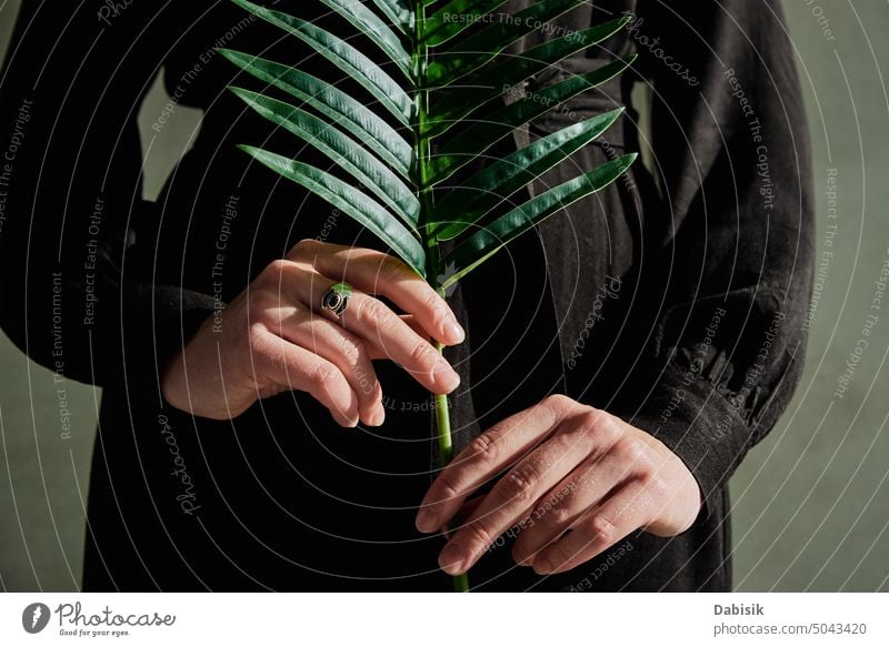 Frau hält Palmblatt in Händen bei sommerlichem Sonnenlicht Blatt Pflanze kreativ konzeptionell Wellness Öko Natur Porträt grün Mode Menschen Sommer Handfläche