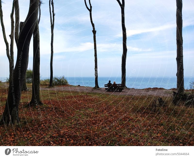 Im Gespensterwald, direkt am Meer, sitzt ein Paar auf einer Bank und schaut in die Ferne. Es ist Herbst, die Bäume sind kahl und rötliches Herbstlaub bedeckt den Boden.