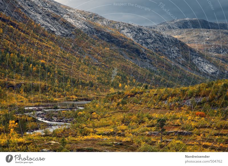 Herbst in Lappland harmonisch Sinnesorgane Meditation Ferne Berge u. Gebirge wandern Natur Landschaft Pflanze Gewitterwolken Wetter Wald Felsen Fluss mehrfarbig