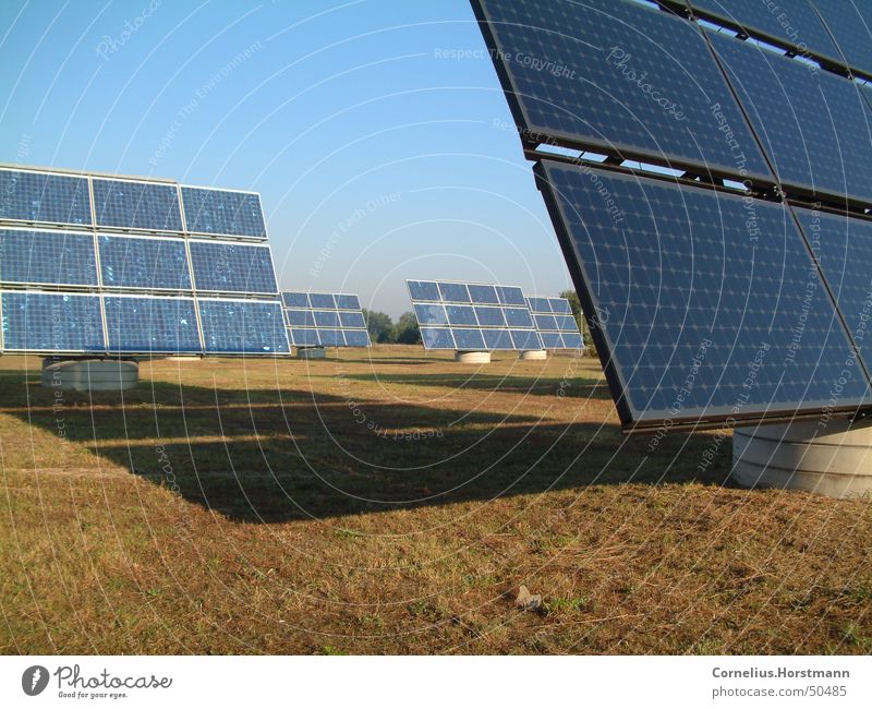 Solar-Feld Farbfoto Außenaufnahme Menschenleer Morgen Tag Schatten Sonnenlicht Sonnenstrahlen Industrie Energiewirtschaft Technik & Technologie