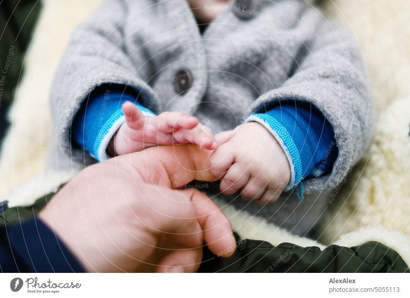 Zwei kleine Babyhände greifen den Zeigefinger eines Erwachsenen. Finger Hand Hände Kleinkind niedlich unbeholfen jung ganz jung Junge Mann Männerhand Kinderhand