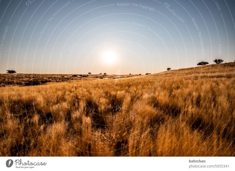 erwachen stille Dämmerung magisch besonders traumhaft Ferien & Urlaub & Reisen Natur Abenteuer Einsamkeit Landschaft Farbfoto reisen Fernweh Afrika Ferne