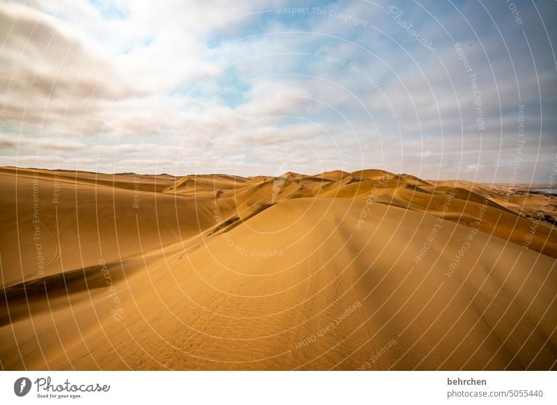 wie sand am meer Afrika Namibia Wüste Sand Meer Ozean weite Sehnsucht Ferne Fernweh reisen Landschaft Ferien & Urlaub & Reisen sandwich harbour Dünen sanddüne