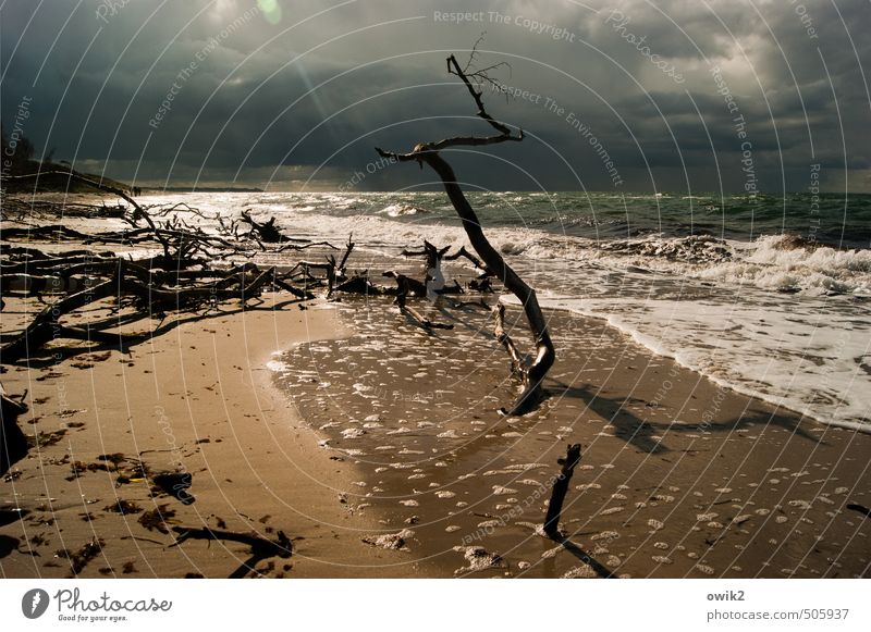 Nach dem Sturm Umwelt Natur Landschaft Pflanze Urelemente Wasser Himmel Gewitterwolken Horizont Klima Schönes Wetter Wind Wellen Küste Ostsee Weststrand Sand