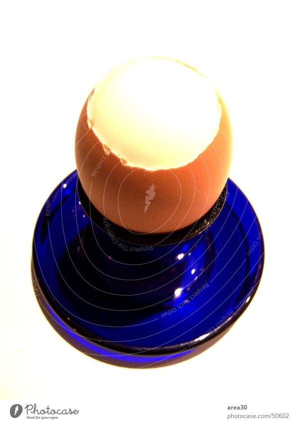 Frühstücksei Vesper kochen & garen hart Ernährung Innenaufnahme Lebensmittel Vor hellem Hintergrund hartgekocht weichgekocht 1 Eierbecher Vogelperspektive