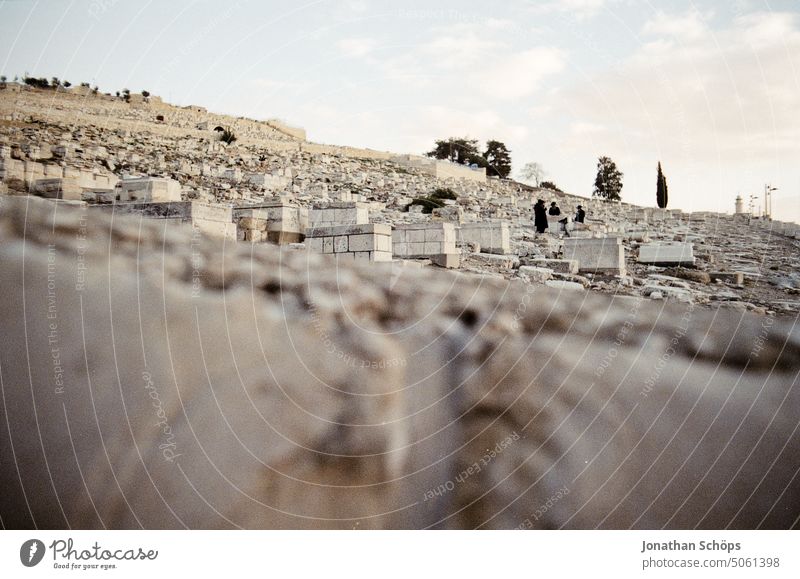 Jerusalem, Israel Filmmaterial Isreal jerusalem Korn Naher Osten Reisefotografie Reisen Sommer Süden analog Friedhof 35mm analoge Fotografie Filmfotografie