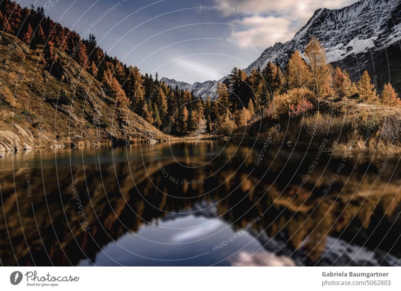 Magischer Schwarzsee im goldenen Herbst, mit Spiegelung der felsigen, wilden Natur vom Lötschental, Wallis, Schweiz See wandern Lärchen Tourismus