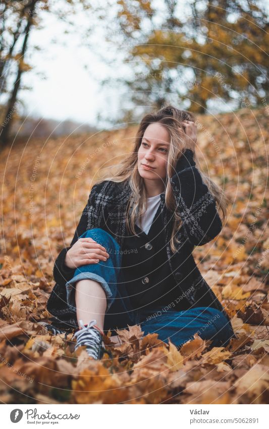 Lächelnde Brünette sitzt in einem Haufen bunter Blätter in einem Eichenwald und berührt ihr Haar. Candid Porträt einer jungen realistischen Frau im Herbst Kleidung in der Herbstsaison