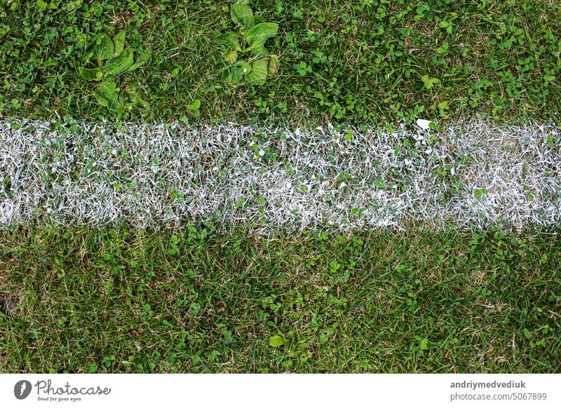 Draufsicht auf die weiße Linienmarkierung auf dem natürlichen grünen Rasen eines Fußballfeldes. Grüner Rasen und aufgemalte Sportlinien auf einem Spielfeld im Freien. Fußballfeld. Sportlicher Hintergrund für eine Produktpräsentation.