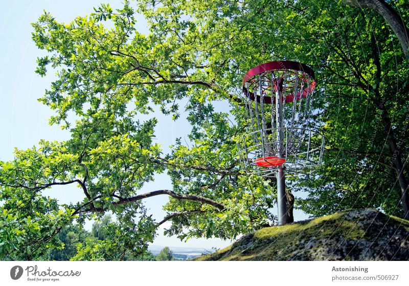 Ziel Sport Discgolf Frisbee Korb Sportstätten Umwelt Natur Landschaft Pflanze Luft Himmel Sommer Wetter Schönes Wetter Wärme Baum Moos Blatt Wald Hügel Felsen