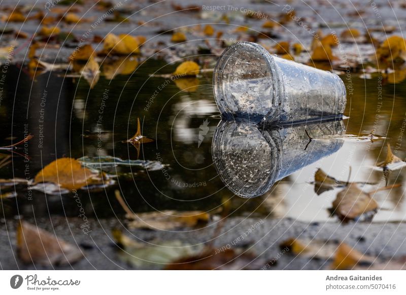 Pfütze mit farbigem Herbstlaub in der ein leerer transparenter Plastikbecher liegt, der sich in der spiegelt, horizontal pfütze herbst regen herbstwetter