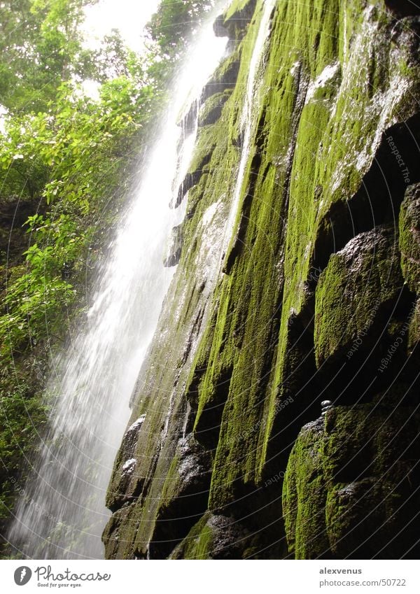 wasserfall in costa rica Costa Rica Urwald Wasserfall grün Natur