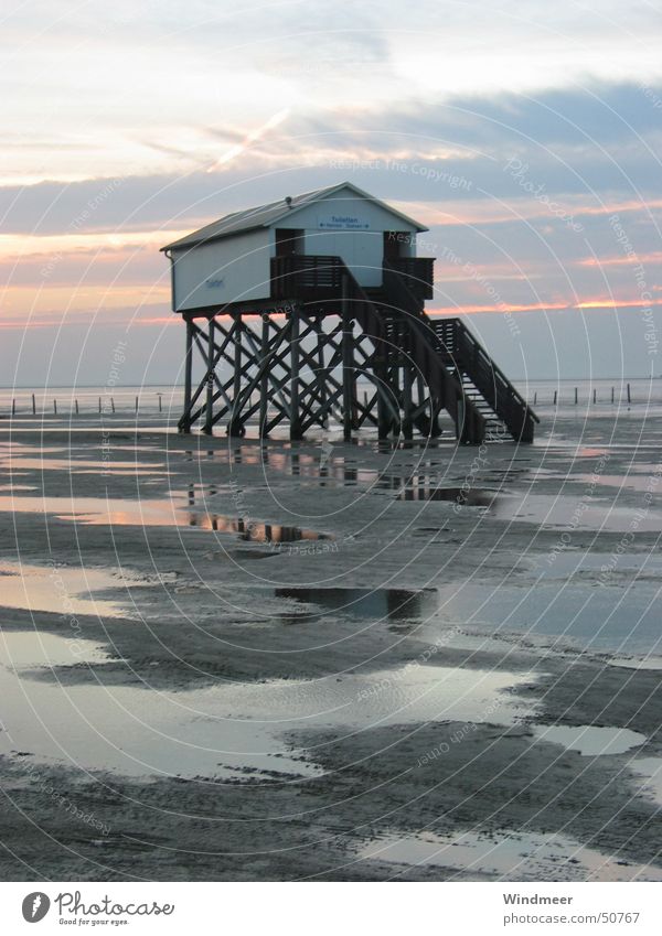 Pfahlbau Ferien & Urlaub & Reisen Tourismus Ausflug Ferne Freiheit Strand Meer Haus Sand Wasser Wolken Horizont Sonnenaufgang Sonnenuntergang Küste Nordsee