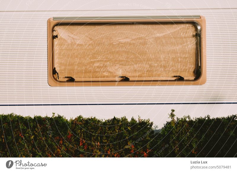 Blick auf das Fenster eines Wohnmobils mit heruntergelassenem Rollo, vor einer herbstlichen Thuja-Hecke Wohnmobilfenster Jalousie geschlossen Rollladen Schatten