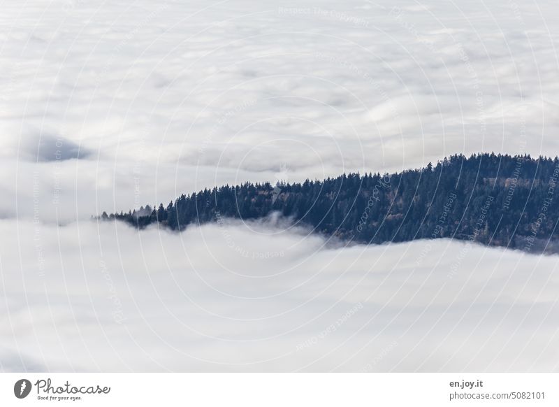 Inversionswetterlage inversionswetter inversionswetterlage Wolken Wolkendecke Bergrücken wolkenmeer Wolkenfeld Berge u. Gebirge Menschenleer Landschaft Natur