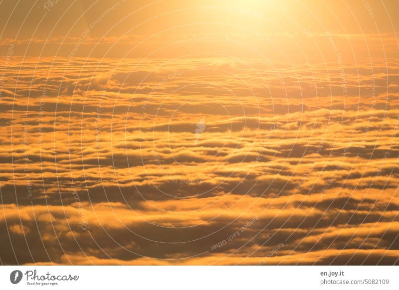 Sonnenuntergang über den Wolken Wolkendecke Sonnenlicht Sonnenschein wolkenmeer gelb von oben Horizont Inversion inversionswetterlage Aussicht weite Himmel