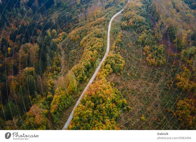 Luftaufnahme einer Straße durch einen Herbstwald in den Bergen Wald Berge u. Gebirge grün Top Ansicht Landschaft Antenne Natur oben Autobahn Weg Umwelt Fahrbahn