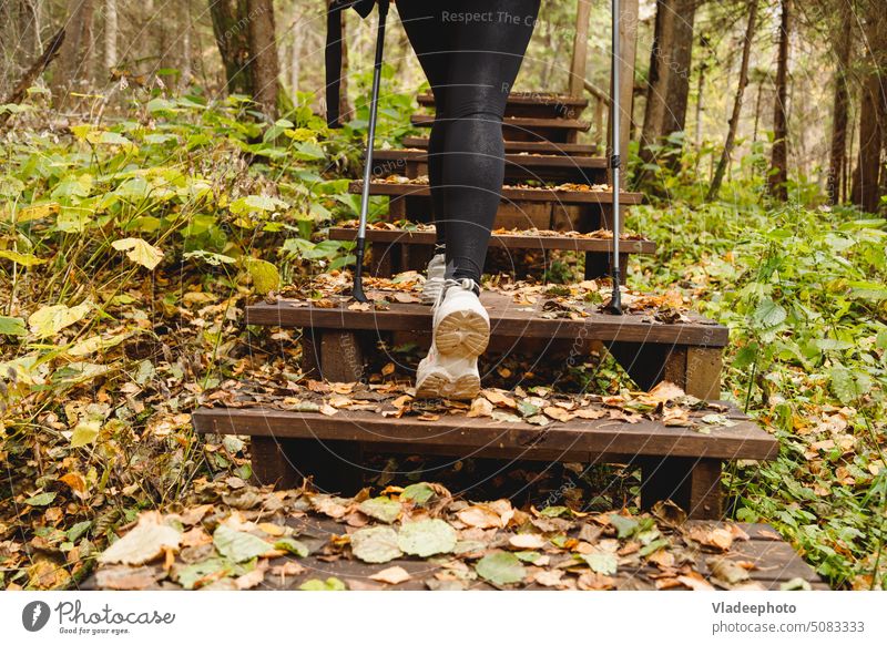 Rückansicht von Schuhen Frau Wanderer zu Fuß auf der Holztreppe im Freien reisen Natur Beine wandern Abenteuer Übung Lifestyle Trekking Sport Menschen Jogger