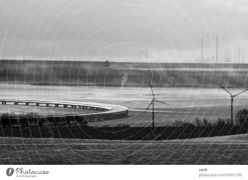 weites Land Windrad Windkraftanlage Erneuerbare Energie Energiewirtschaft Elektrizität Technik & Technologie ökologisch Klimawandel Natur Landschaft Nebel