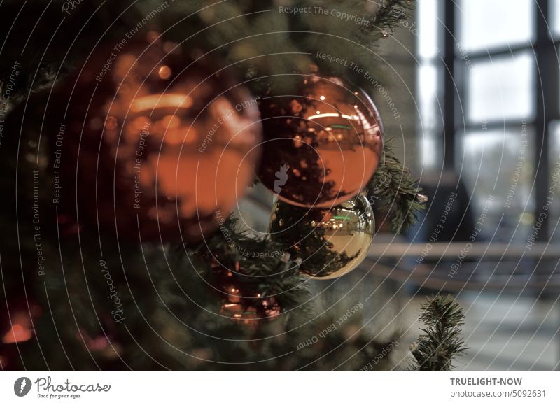 Dicke Kupfer glänzende Kugeln hängen zur Weihnachtszeit in der Bahnhofshalle an einem Tannenbaum Weihnachtskugeln Weihnachtsdeko Weihnachtsbaum Halle innen