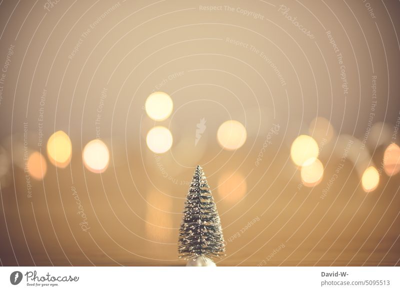 Weihnachtsdekoration - ein mit schneebedeckter Tannenbaum und festlichen Lichtern im Hintergrund Weihnachtskarte Weihnachten & Advent Lichterkette Schnee