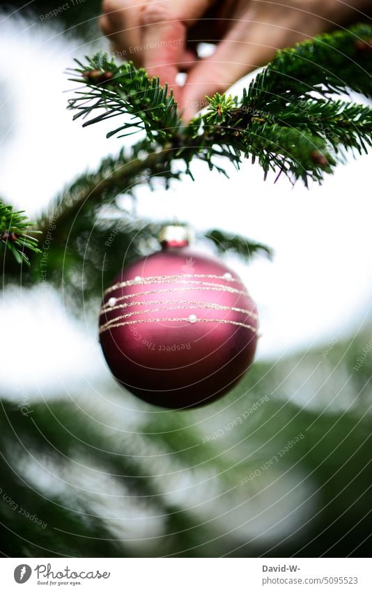 Weihnachtlich dekorieren - Christbaumkugel an den Tannenbaum hängen Weihnachten Weihnachtsdekoration Dekoration & Verzierung festlich Weihnachtsstimmung Advent