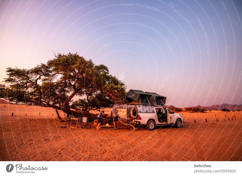 spannend | die geräusche der nacht Sesriem traumhaft Himmel Ferne Abend Sonnenuntergang Dämmerung Abenddämmerung Baum Namibia reisen Fernweh besonders Natur