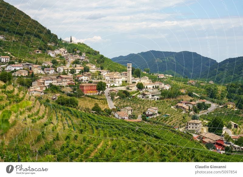 Weinberge entlang der Straße des Prosecco und der Conegliano-Weine Europa Italien Santo Stefano Treviso UNESCO-Weltkulturerbe Valdobbiadene Veneto Ackerbau