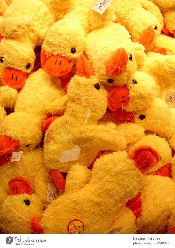 so viele enten Farbfoto Kindheit Tier Stofftiere kuschlig niedlich weich gelb mehrere Kuscheln Ente Haufen Ware Tierfigur