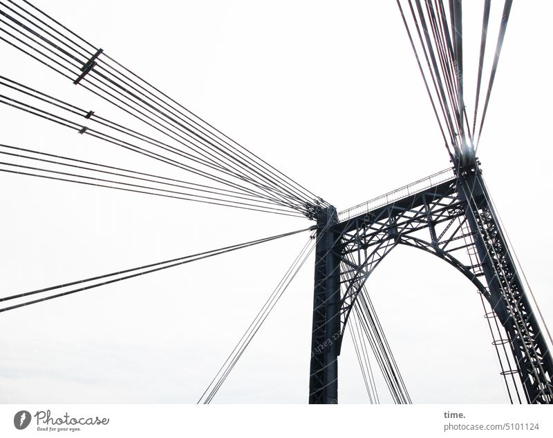 Welt am Draht Brücke Seile Architektur Bauwerk Verkehrswege Metall Stahlseile Konstruktion Konstruktionskunst hoch schwer funktional verbinden sichern halten