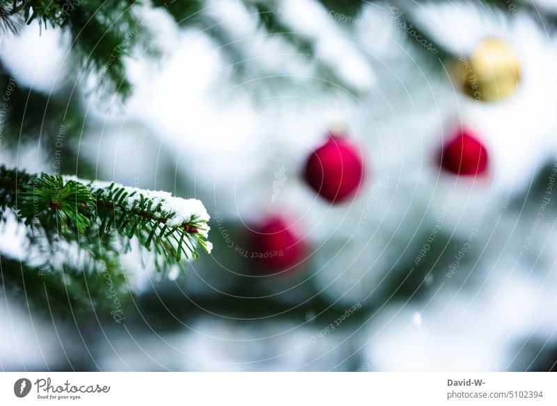 Wintereinbruch zur Weihnachtszeit Schnee Weihnachten Weihnachtlich Tanne Schneebedeckt Schneefall Weihnachtsbaum Tannenbaum Weihnachtsstimmung Stimmung