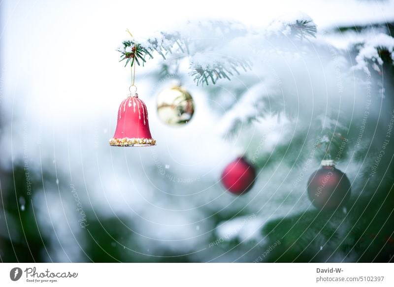 Christbaumkugeln und Glöckchen in einem verschneitem Tannenbaum Weihnachten Schnee Glocke Weihnachtsbaum weihnachtlich Schneefall besinnlich verwunschen